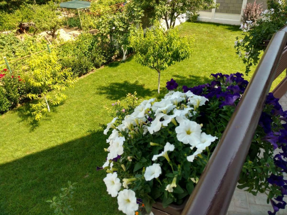 Apartments In Golden Sands Park Near The Sea Βάρνα Εξωτερικό φωτογραφία